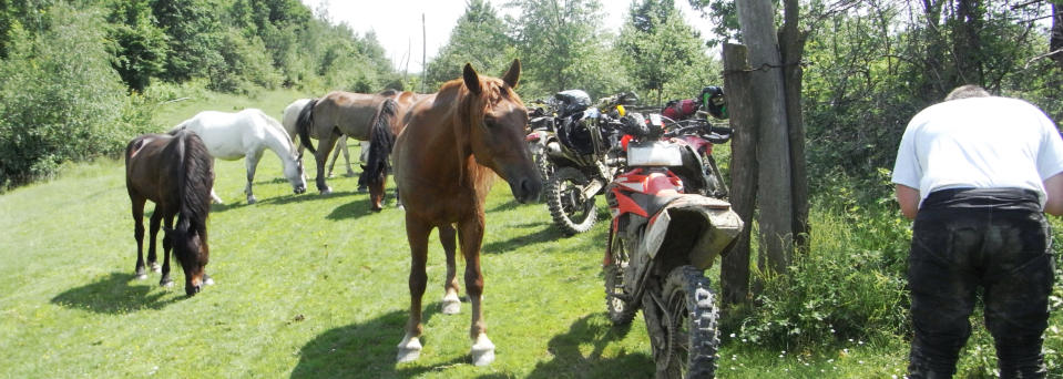 Tradition und Abenteuer, Wildpferde und Motocross Maschinen in den Karparten, Rumänien